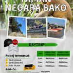 Taman Negara Bako Daytrip